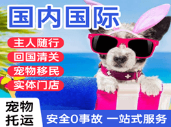 长春航空托运国际宠物托运 【国